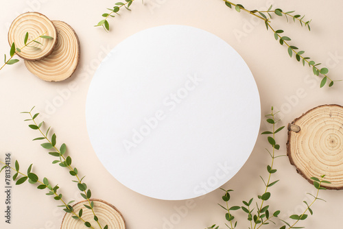 Nature tenderness concept. Top view photo of empty circle surrounded by branches of eucalyptus and round wooden stands on isolated pastel background with copy-space