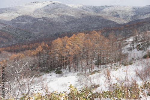 初冬の降雪で雪化粧した山の斜面