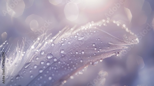 Single feather with sparkling water droplets on a blurred blue background