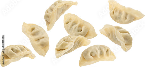 Falling Chinese Gyoza dumplings