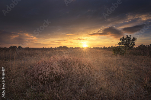 Sunrise with a sky with clouds and clear and warm colors over a field covered with heather in the hermitage of the Virgen del Rabanillo, near Saldaña, Palencia