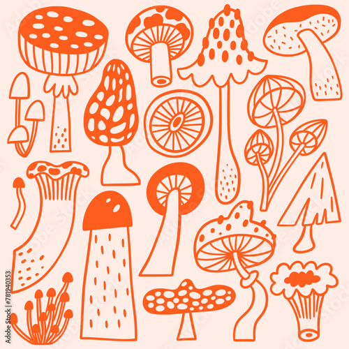 Mushroom set in hand drawn outline style. Cute doodle vector illustrations of boletus, enoki, toadstool and others. Big collection of edible and non-edible mushrooms.