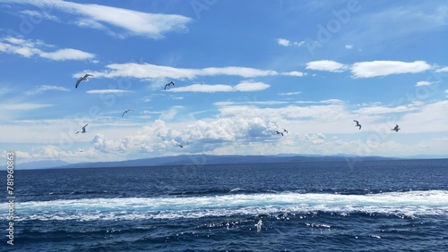 Flock of birds flying over a beautiful sea with blue clear water and foamy waves