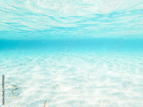 Underwater view with transparent sea ocean water and white sand. Caribbean maldive concept summer holiday vacation