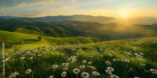 Beautiful landscape montain sunset with greenery daisy medow