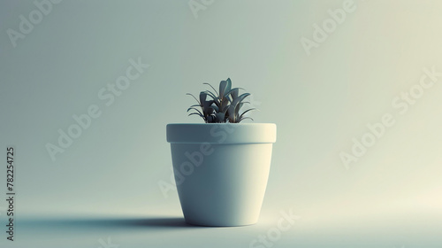 A small plant in a white pot on a white background. The plant has long, thin leaves and is growing out of the pot.