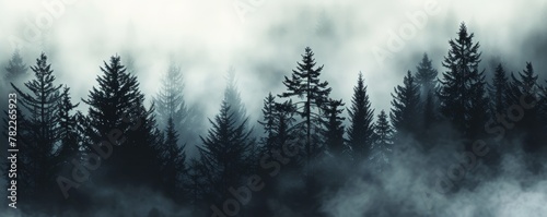 Misty pine forest landscape at dusk