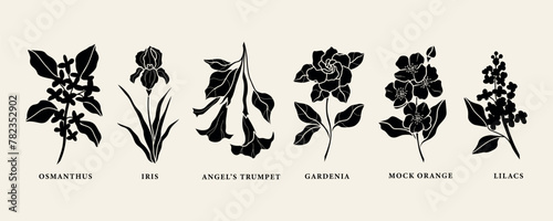 Flat vector fragrant flowers collection