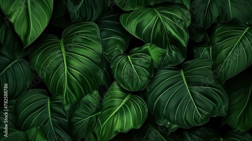 An up-close view highlighting the intricate texture and rich green hues of overlapping tropical leaves