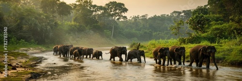 Majestic Elephant Herd Traversing Lush Tropical Riverside in Scenic Wildlife Safari Adventure