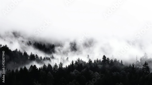 The distinct silhouettes of a thick forest under a heavy fog, creating a monochrome scene against a white sky. 
