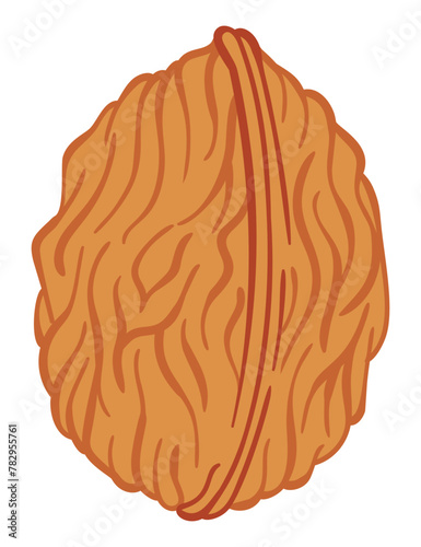 Walnut vector flat icon. Cartoon illustration of whole nut in shell. Omega-3 product