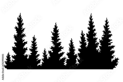 Fir trees silhouette. Coniferous spruce horizontal background pattern, black evergreen woods illustration. Beautiful hand drawn panorama of coniferous forest