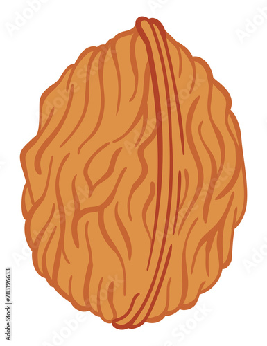 Walnut flat icon. Cartoon illustration of whole nut in shell. Omega-3 product