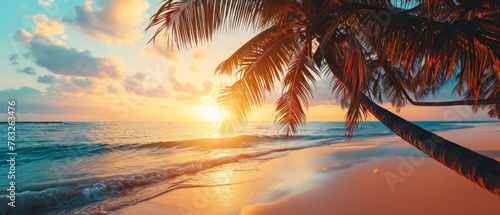 Sunset Through Palm Leaves on Tropical Beach
