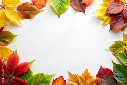 white background surrounded by colorful autumn leaves with space for text