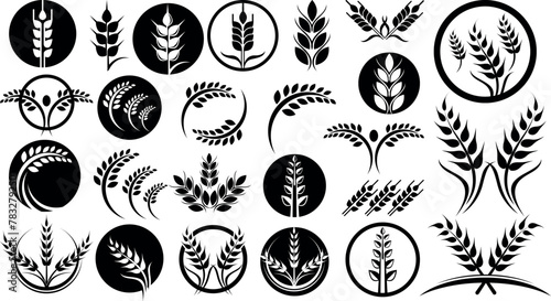 wheat food rice. Harvest wheat grain, growth rice stalk and bread grains great set collection clip art Silhouette , Black vector illustration on white background 