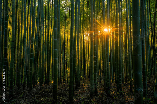 A dense bamboo grove with the sun peeking through the tall, swaying stalks, creating patterns of light and shadow that dance on the forest floor. 32k, full ultra hd, high resolution