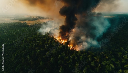 aerial photography of a massive forest fire drone top view of wildfire with smoke and burning trees from the height of a bird flight ecological catastrophe 6k high resolution image generative ai