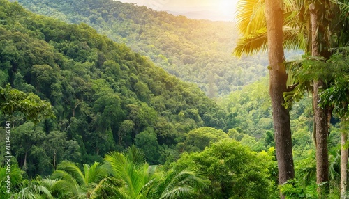 panorama banner background of tropical forest landscape scene for using in concept of environmental ecology and sustainable energy or earth day wild wood scenic using for wallpaper of spa and tourism