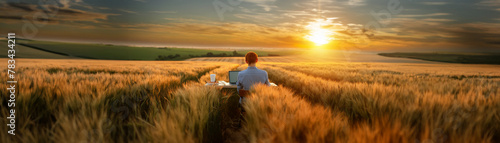 A panoramic, widescreen photo of a white male office worker with red hair sitting at a desk in the middle of a golden field at sunrise with a laptop and a cup of coffee on the desk working remote