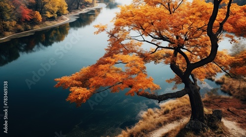 Beautiful lake in autumn season with autumn leaves seen from top view.