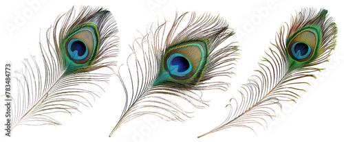 decorative peacock feather png in pack of three