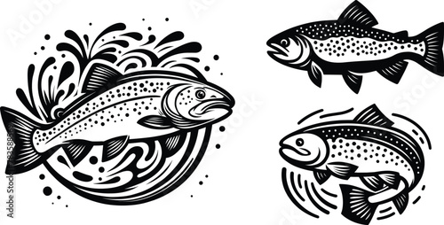 Set of trout fish, vector illustration.