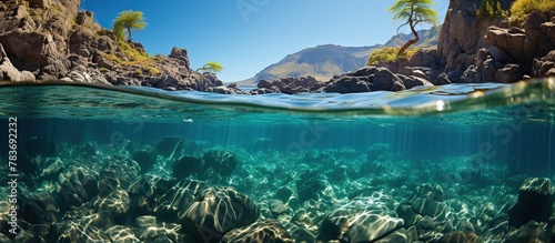 Underwater view of the coral reef and tropical fish. Panorama
