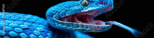 Vibrant Blue Snake Close-up on Dark Background