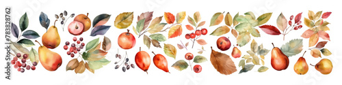 Watercolor set of fruit. Natural dessert illustration. Organic food. 