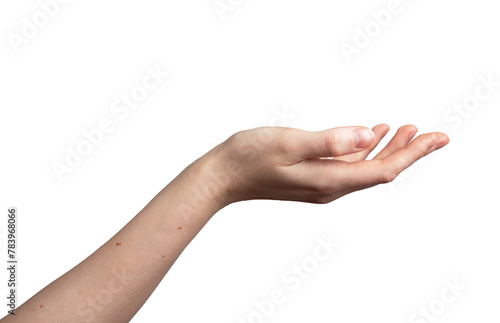 Hand palm stretching out, cup shape, showing gesture, isolated on white background, transparent png