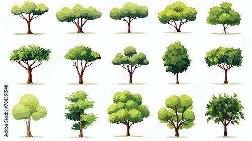 Collection of Isolated Trees on white background. A