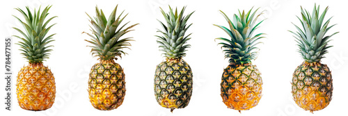Pineapple set isolated on a transparent background. PNG.