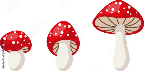 vector cute cartoon fly agaric mushrooms