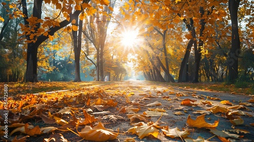 Visualize a stunning autumn landscape, where the trees are ablaze with vibrant shades of yellow and gold, illuminated by the warm glow of the sun.