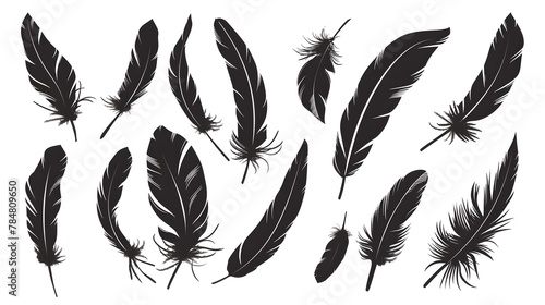 Bird Feather black silhouettes. Plumelet collection. Vector isolated on white 