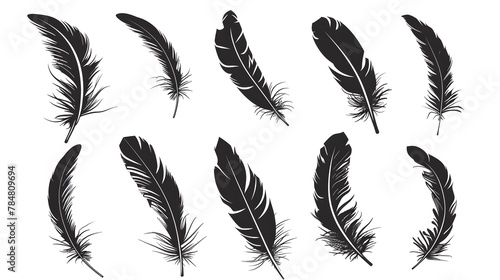 Bird Feather black silhouettes. Plumelet collection. Vector isolated on white 