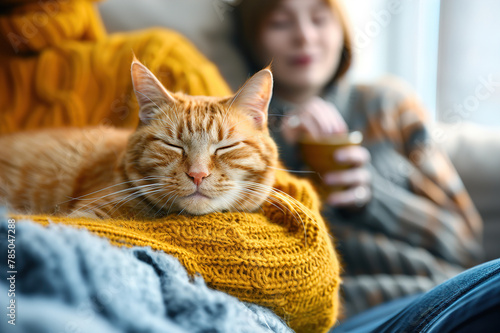 A cozy living room scene with a cat on a windowsill, sunlight streaming in, owner lounges nearby, tranquility of indoor pet ownership.