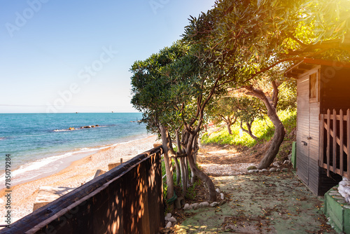 Shady path with trees near sea coast in summer