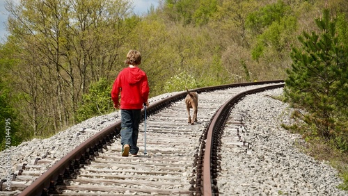 Boy with Weimaraner dog walking on old abandoned railway Lupoglav Stalije, Pijana pruga, Kozljak, Krsan, Istria County, Croatia 