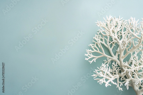 White coral branch on pale blue background