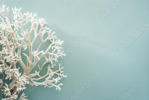 White coral branch on blue gradient background