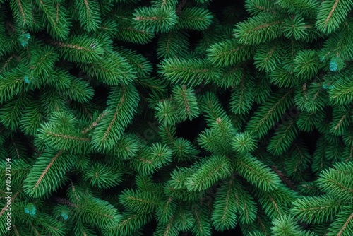 Beautiful seamless pattern with fir tree branches, coniferous forest endless texture. Evergreen nature background. Christmas or new year backdrop.