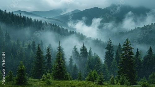 beautiful Foggy mountain landscape. Carpathian mountains, Ukraine