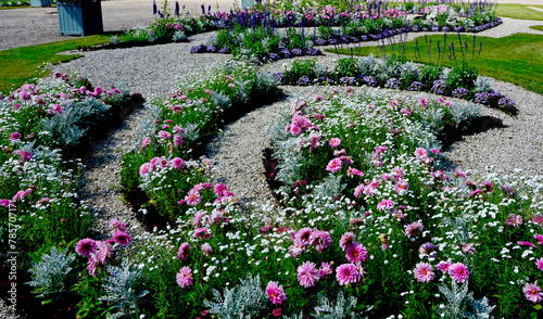 różowe, białe i fioletowe kwiaty w wiejskim ogrodzie, kwietnik w ogrodzie pałacowym, Dahlia, Gypsophila, colorfull flower in cottage garden, flowerbed in garden