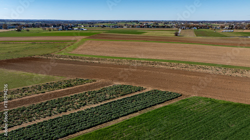 Aerial View of Patchwork Farmland