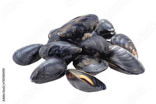 group of mussels .isolated on white background