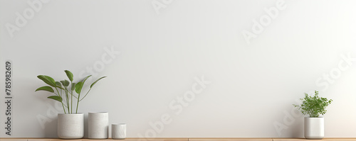 Minimalist white interior with plants and jugs