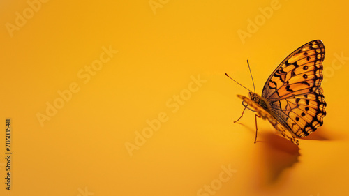A captivating orange butterfly with black and white patterning perches at the edge of the image, partially blurred against an orange backdrop